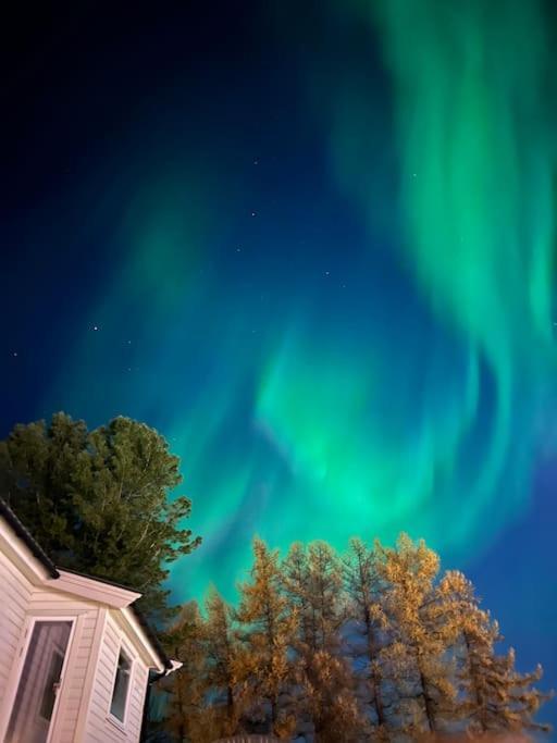 My Sweet Home Fauske Bagian luar foto